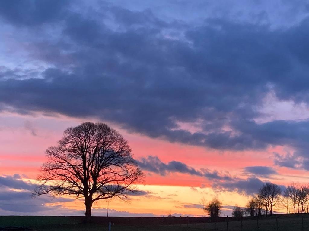 Glashaus Sternblick, Schlafen Unterm Sternenhimmel Neustadt am Kulm エクステリア 写真